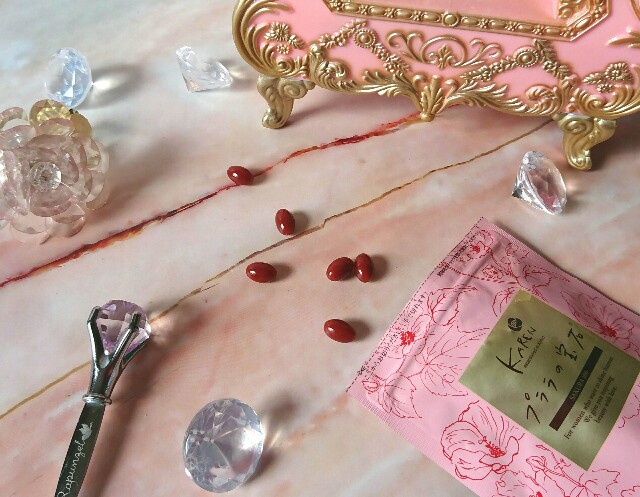 f:id:Hu-Ga:20201211110228j:image