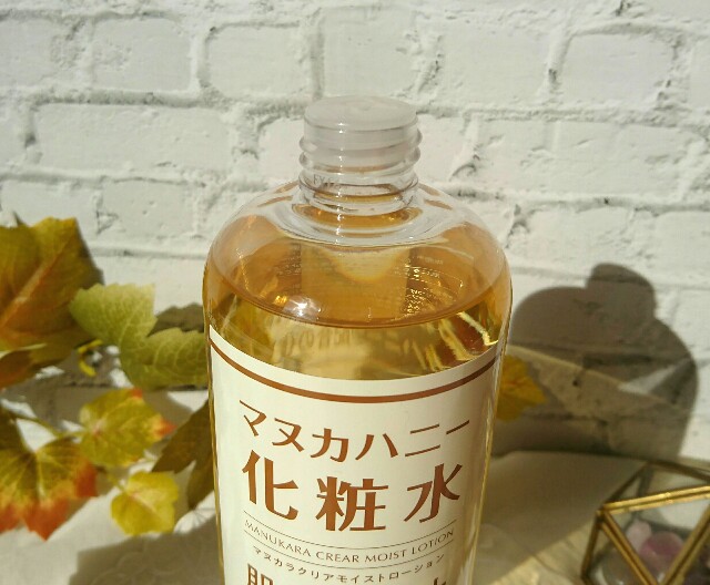 f:id:Hu-Ga:20201216192334j:image