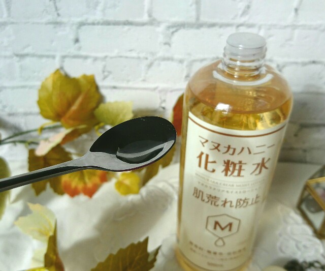 f:id:Hu-Ga:20201216192434j:image
