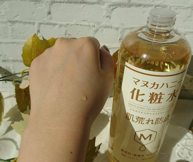 f:id:Hu-Ga:20201216192458j:image