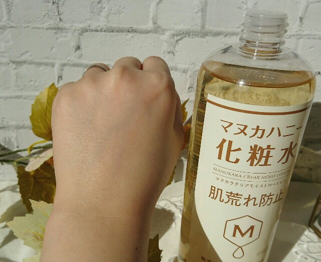 f:id:Hu-Ga:20201216192621j:image