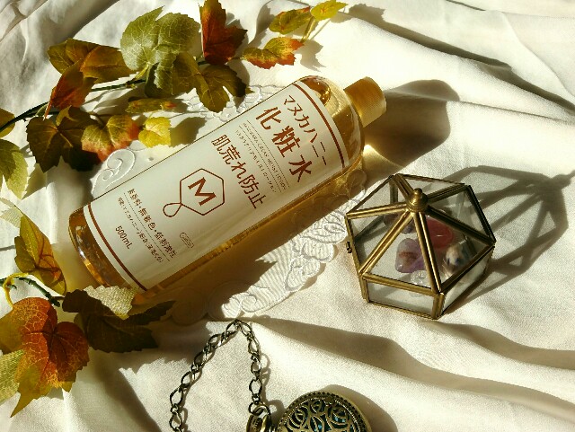 f:id:Hu-Ga:20201216192723j:image