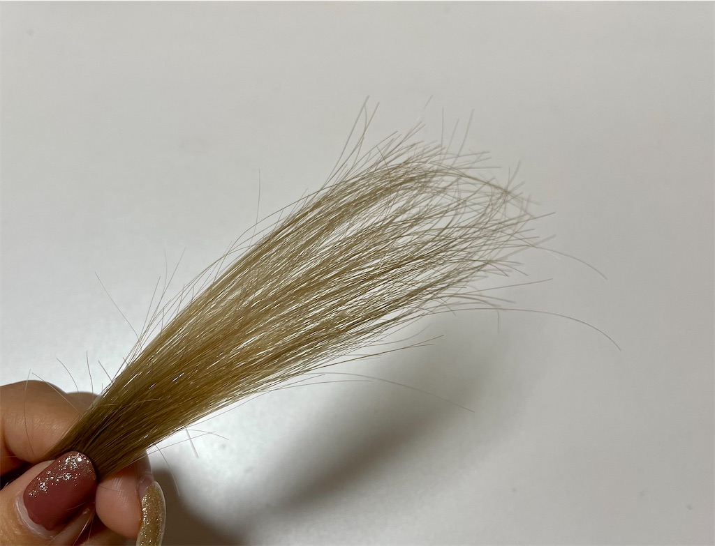 f:id:Hu-Ga:20210101204835j:image