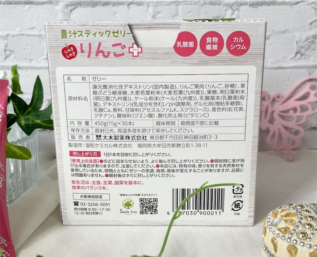 f:id:Hu-Ga:20210105143007j:image