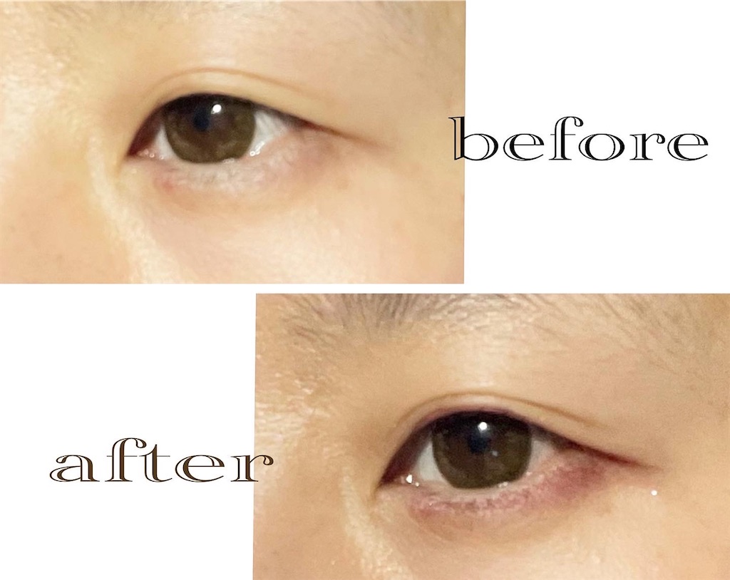 f:id:Hu-Ga:20210201130705j:image