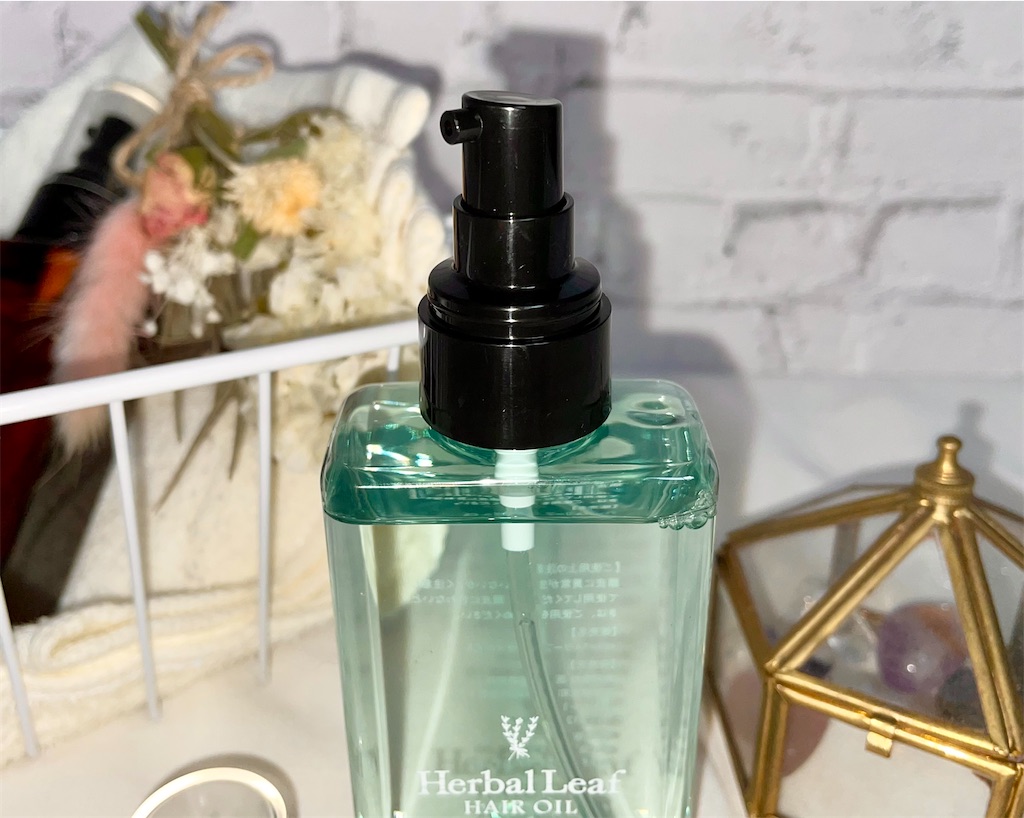 f:id:Hu-Ga:20210620123938j:image f:id:Hu-Ga:20210620123938j:image