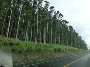 CIMG0132