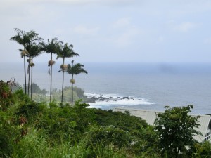 CIMG0134