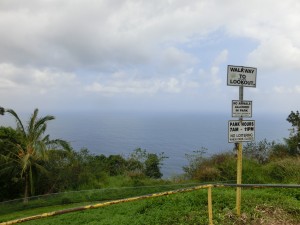 CIMG0137