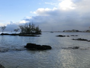 CIMG0240
