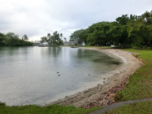 CIMG0244