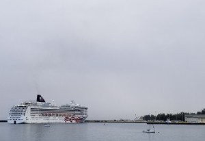 CIMG0249-1