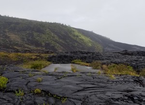 CIMG0275-3