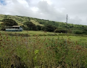 CIMG0321-5