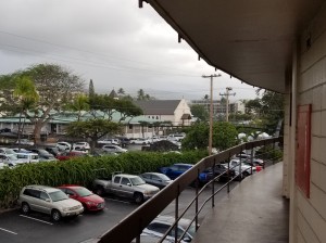 CIMG0334-1