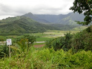 CIMG0210