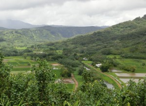 CIMG0211