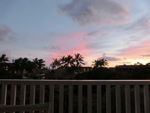 CIMG0256