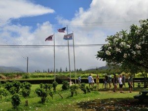 CIMG0284