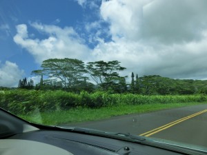 CIMG0128