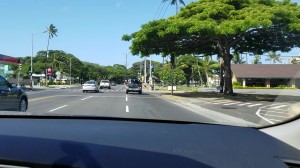 CIMG0544-2_Moment(2)