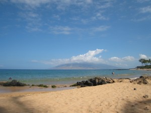 IMG_5368