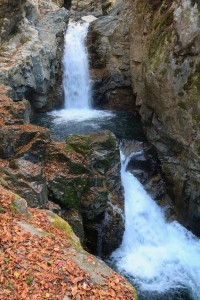 IMG_2984