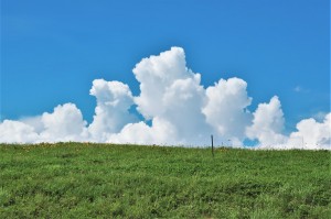 IMG_0526