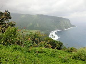 CIMG0138