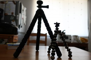 IMG_0181
