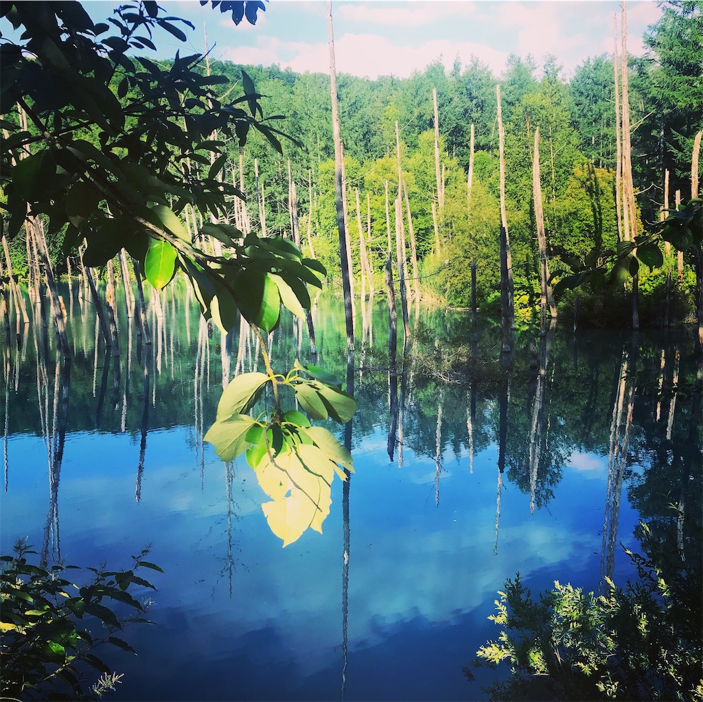 f:id:Humboldt2020:20200111211907j:image