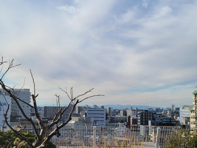 f:id:Huuuu:20220119193355j:plain