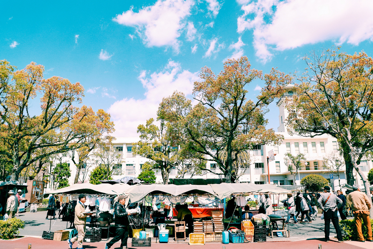 高知　素人　投稿画像 高知市／どんな私も受け入れてくれた街・高知｜文・かずさまりや - SUUMOタウン