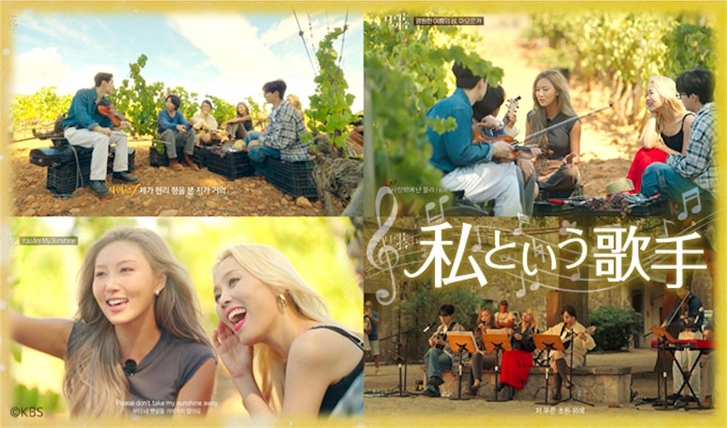 f:id:HwasaJapan:20250210174818j:image