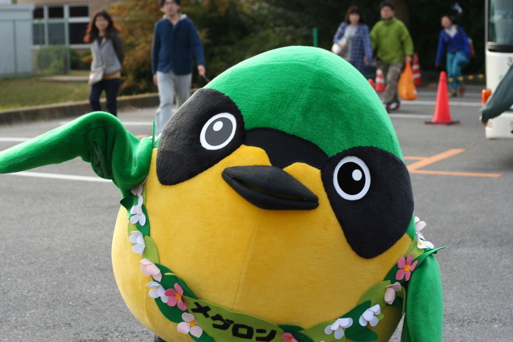 f:id:Hydrornis:20211227143738j:plain