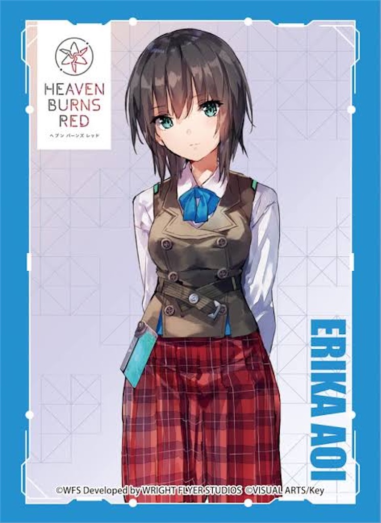 f:id:Hyouko_Glaceon:20250609174458j:image