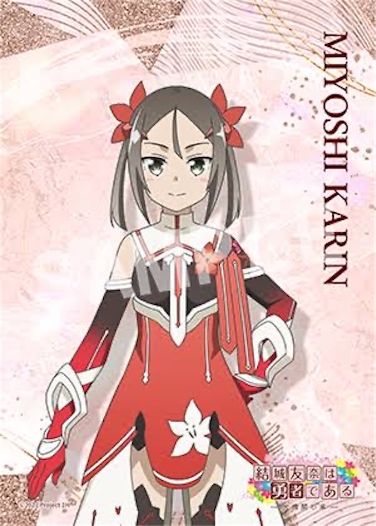 f:id:Hyouko_Glaceon:20250609175157j:image