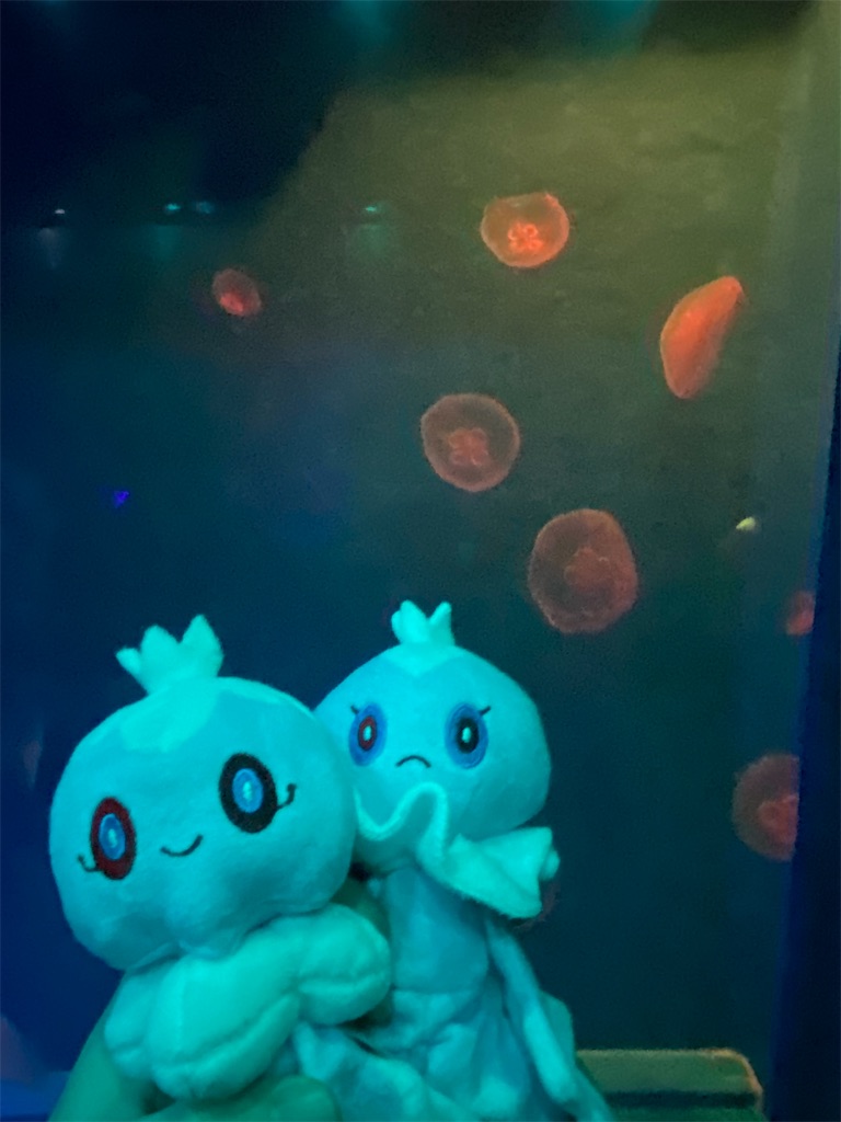 f:id:Hyouko_Glaceon:20260514002736j:image