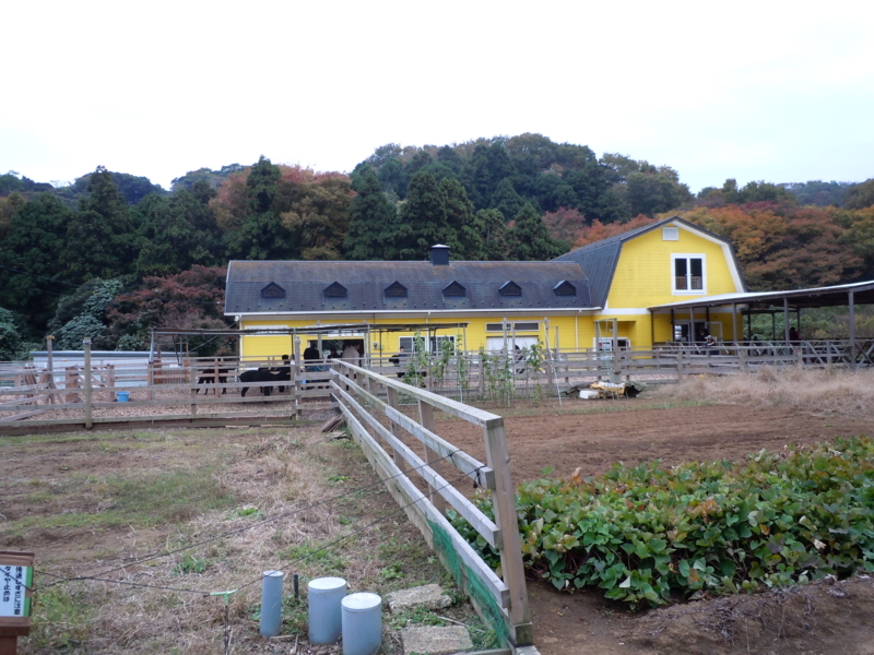 f:id:Hyperion64:20101121145045j:image f:id:Hyperion64:20101121145045j:image