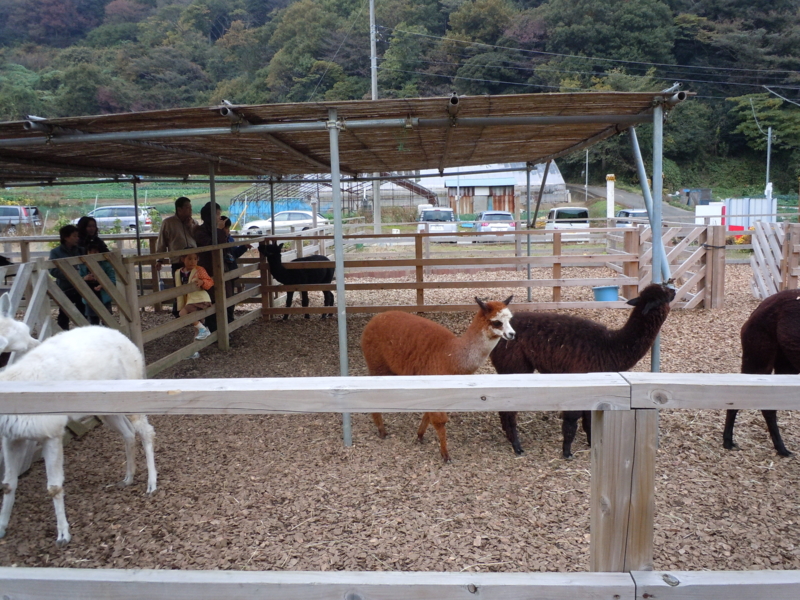 f:id:Hyperion64:20101121145142j:image f:id:Hyperion64:20101121145142j:image