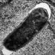 f:id:Hyperion64:20110607220632j:image f:id:Hyperion64:20110607220632j:image