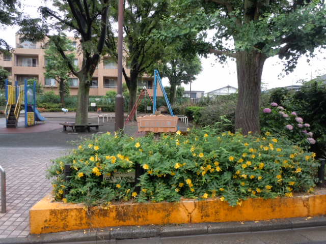 f:id:Hyperion64:20110611130223j:image