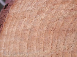f:id:Hyperion64:20110704212759j:image f:id:Hyperion64:20110704212759j:image