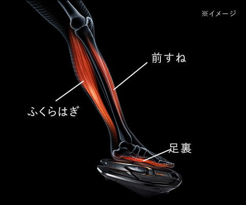 歩行を支える筋肉を効率的に鍛える