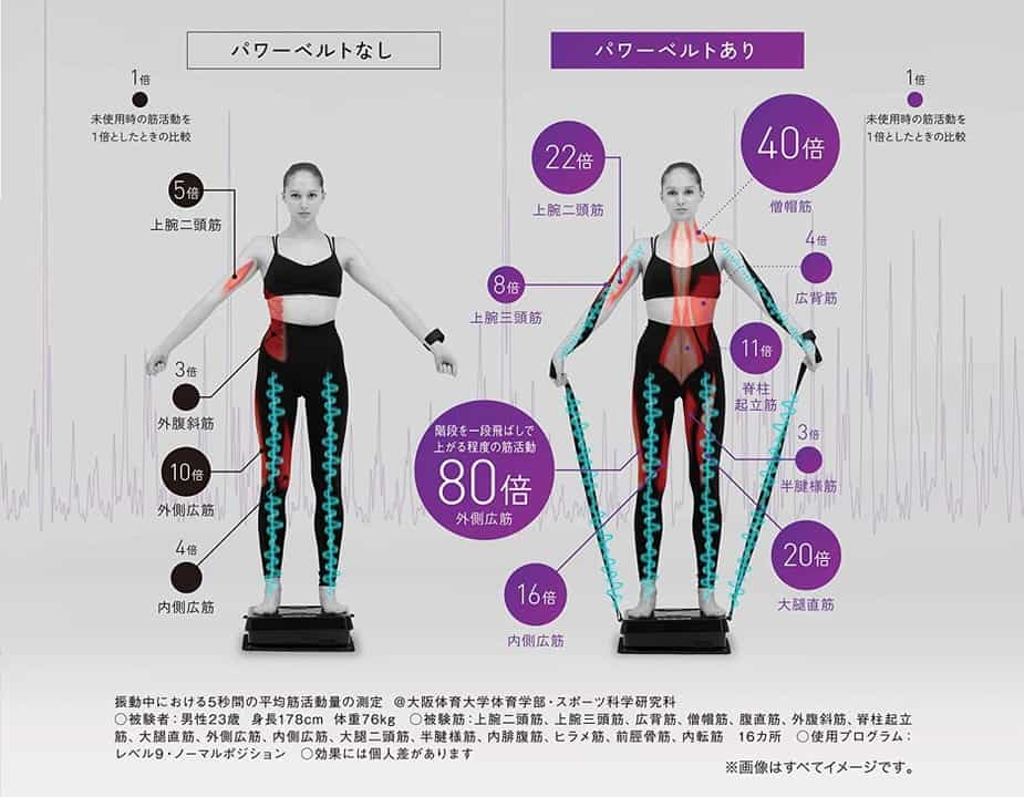 専用ベルト