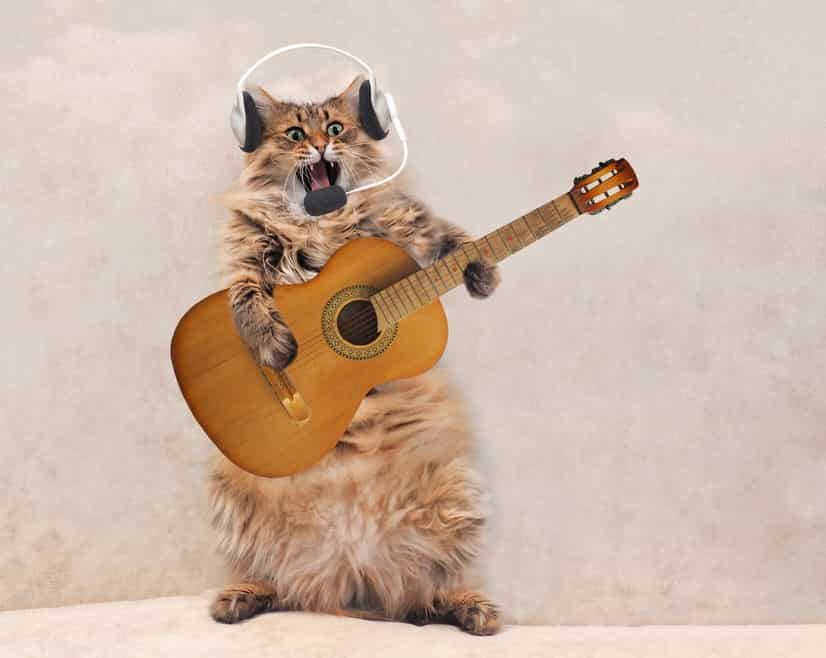 SONY SRS-WS1｜レビュー