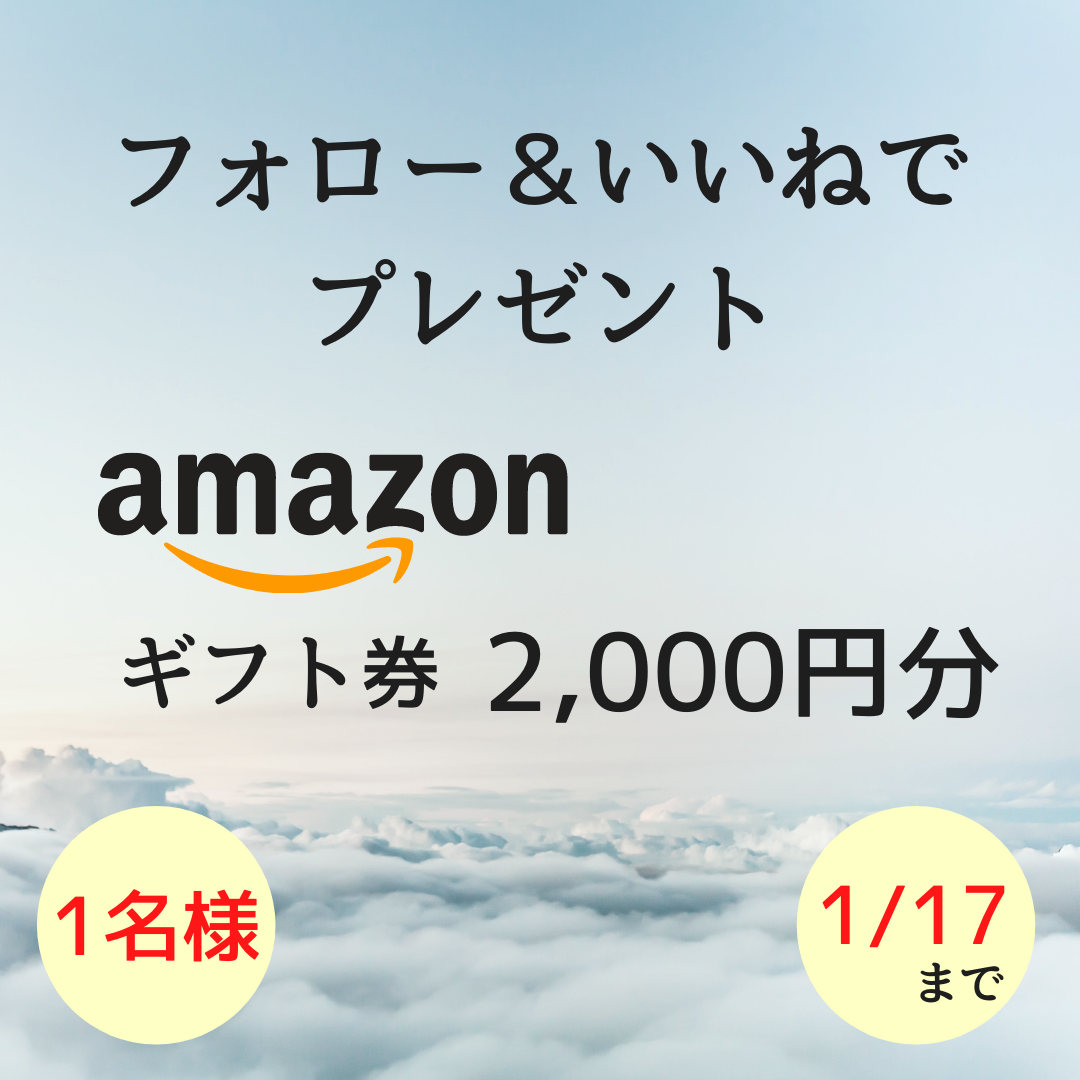 f:id:Hyplic:20210110201634p:plain