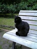 f:id:I407:20060517060328j:image f:id:I407:20060517060328j:image