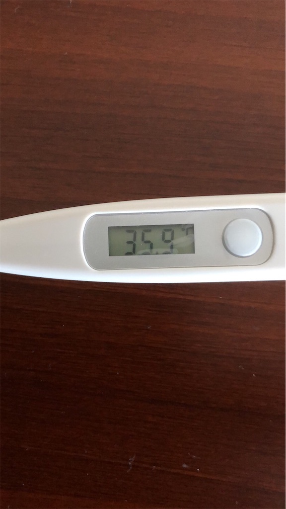 f:id:IBird:20200901095359j:image