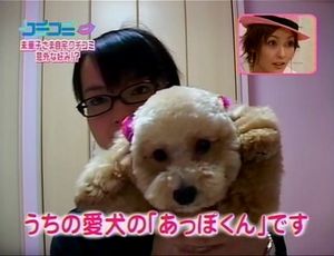 f:id:ICHIRO:20070710025957j:image